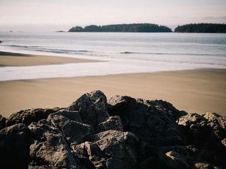 profile-image-39