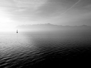 profile-image-55