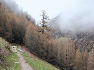 profile-image-73