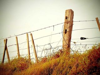 profile-image-209