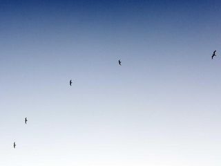 profile-image-227