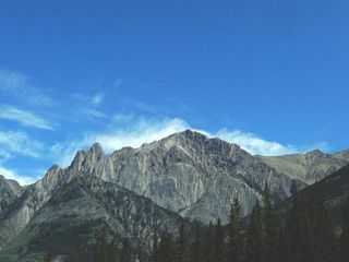 profile-image-281