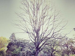 profile-image-385