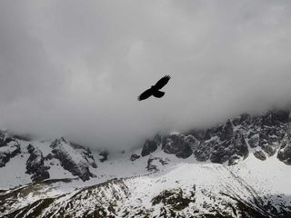 profile-image-390