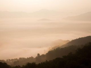profile-image-477