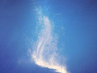 profile-image-491