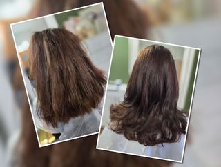 profile-image-60