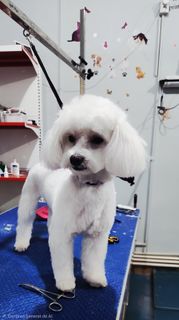 profile-image-7