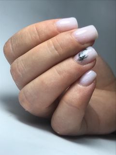 profile-image-62