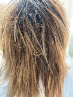profile-image-6