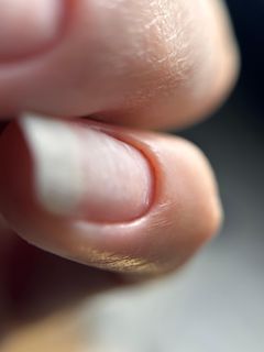 profile-image-15