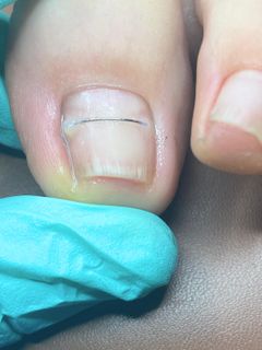 profile-image-6