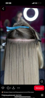 profile-image-29