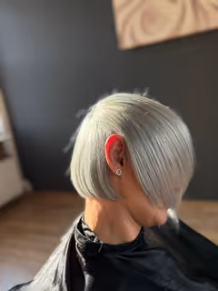profile-image-17